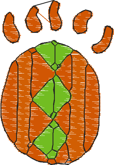 Animals 19 - Mixed 2  (4)