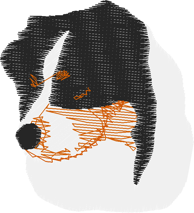 Animals 19 - Mixed 2  (6)