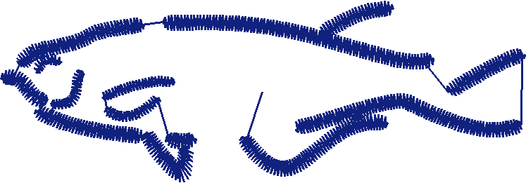 Animals 20 - Outrageous Outlines  (4)