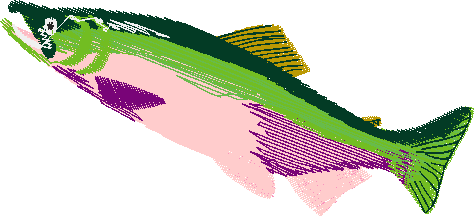 Animals 21 - Wildlife 01  (15)