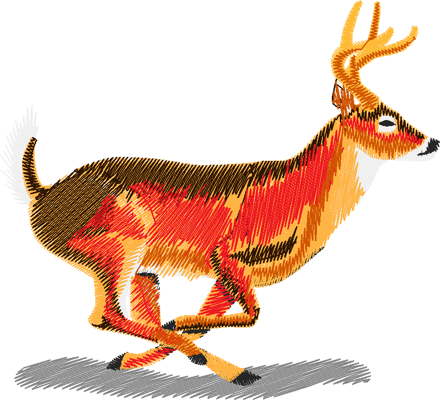 Animals 21 - Wildlife 01  (19)