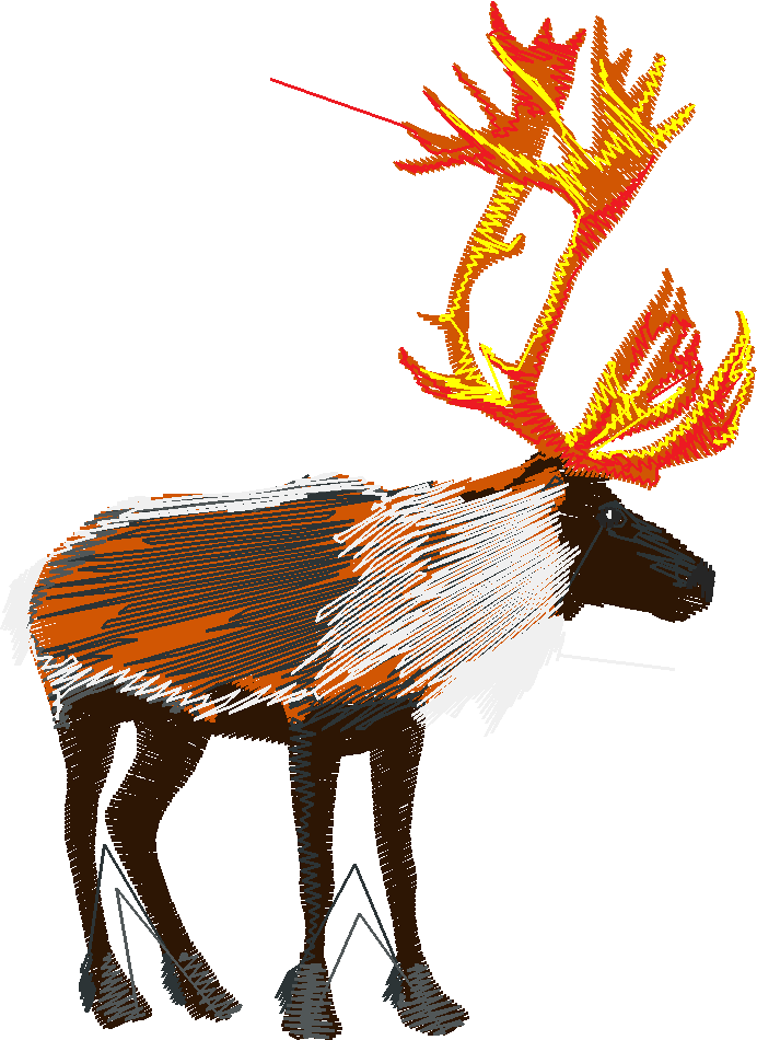 Animals 21 - Wildlife 01  (6)