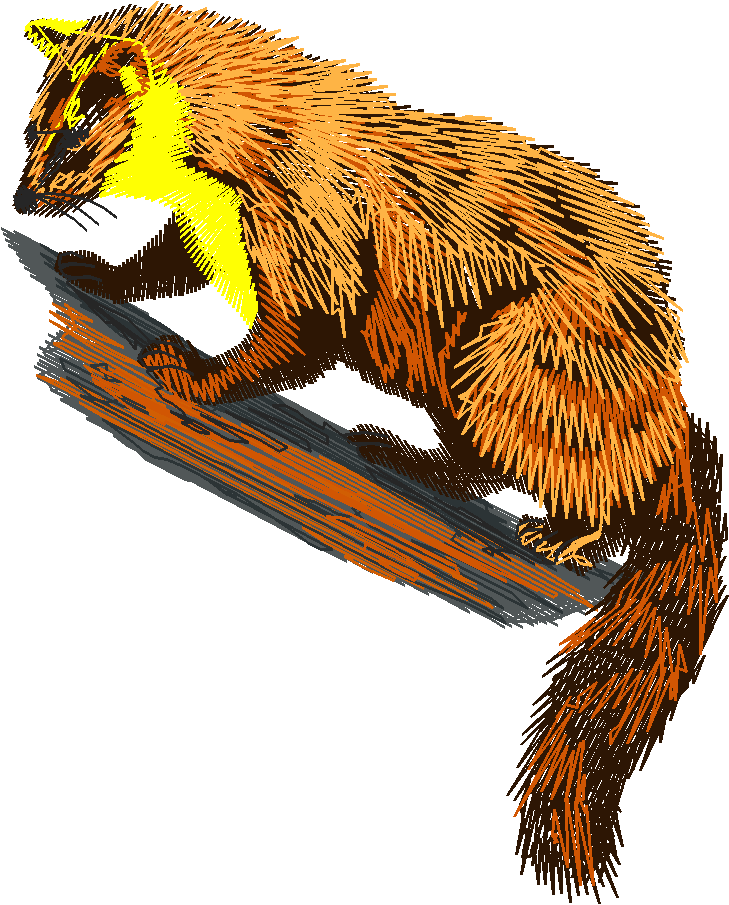 Animals 21 - Wildlife 01  (9)