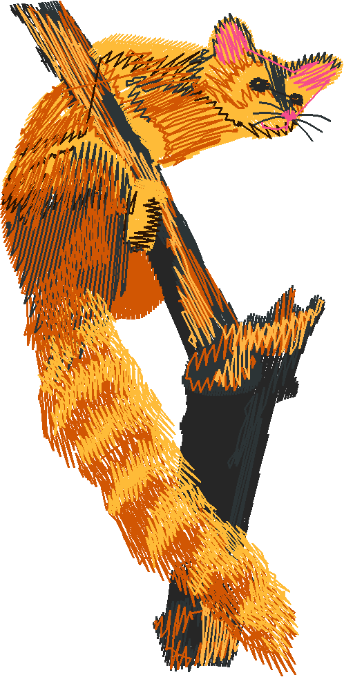 Animals 22 - Wildlife 02 (1)