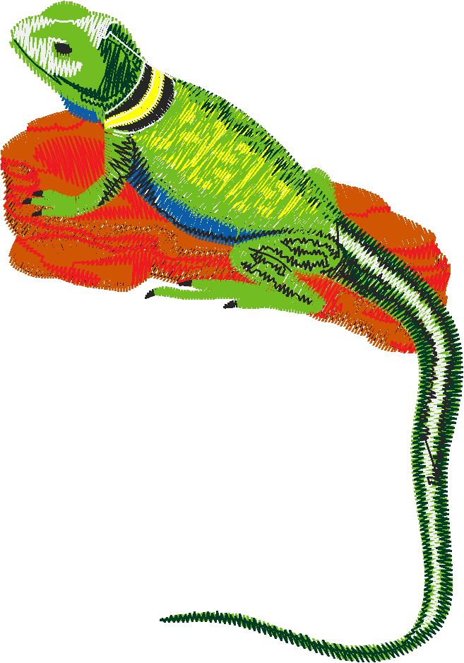 Animals 22 - Wildlife 02 (11)