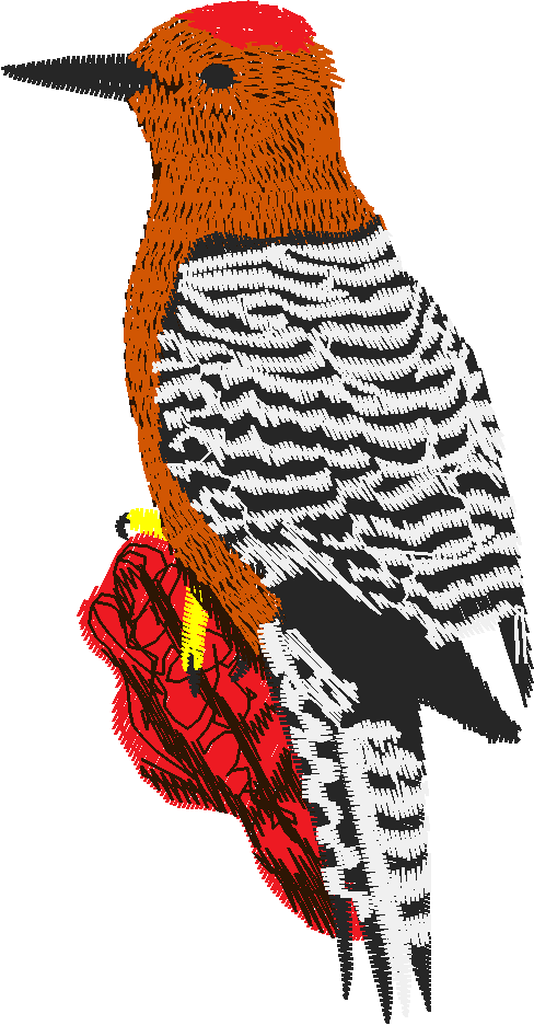 Animals 22 - Wildlife 02 (16)