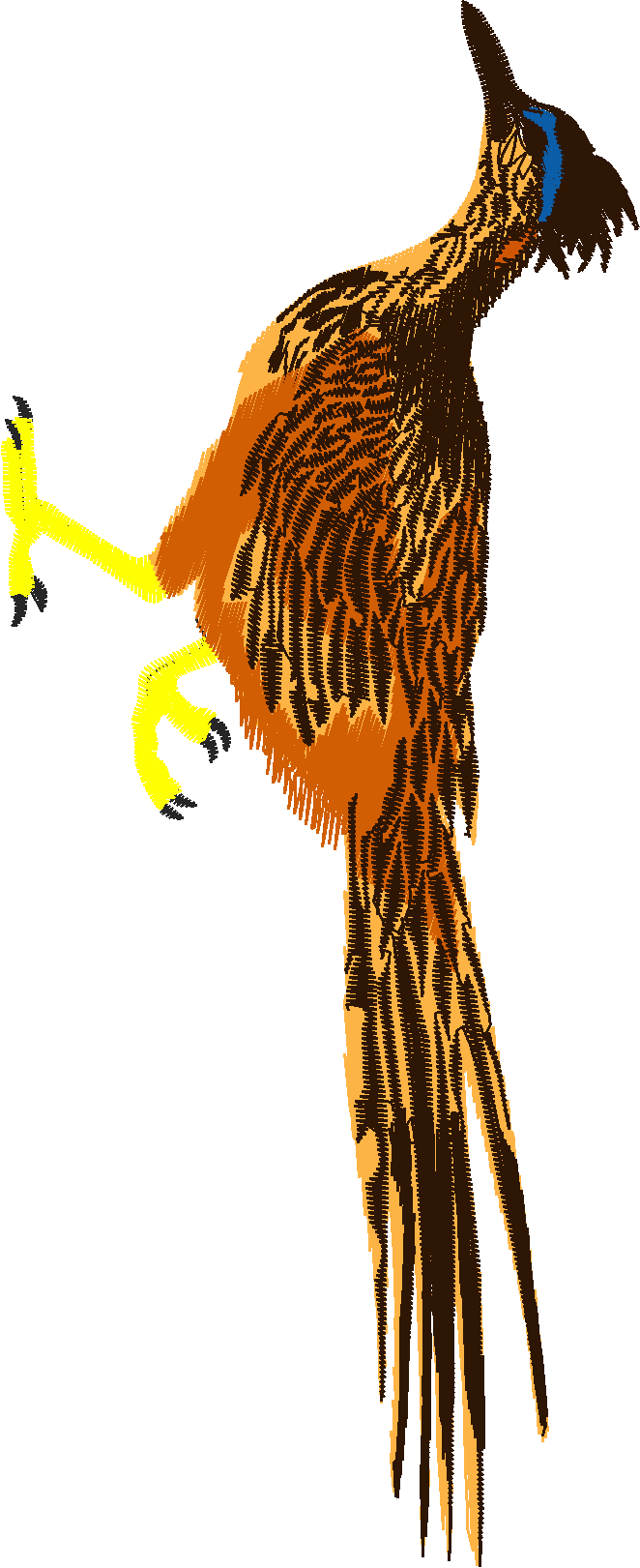 Animals 22 - Wildlife 02 (19)