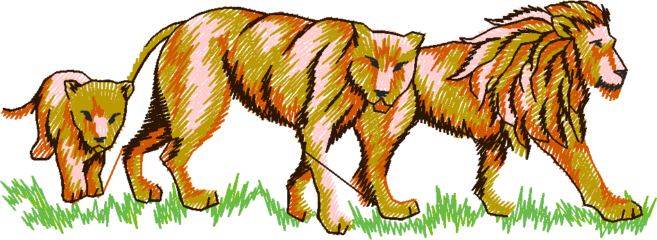 Animals 24 - Wildlife 04 (12)