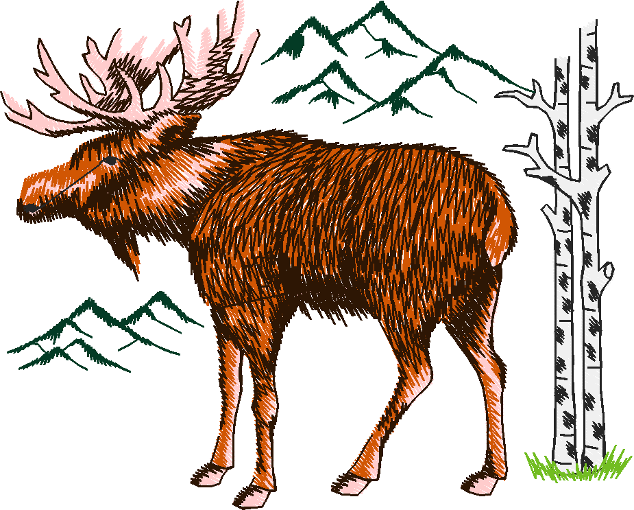 Animals 24 - Wildlife 04 (13)