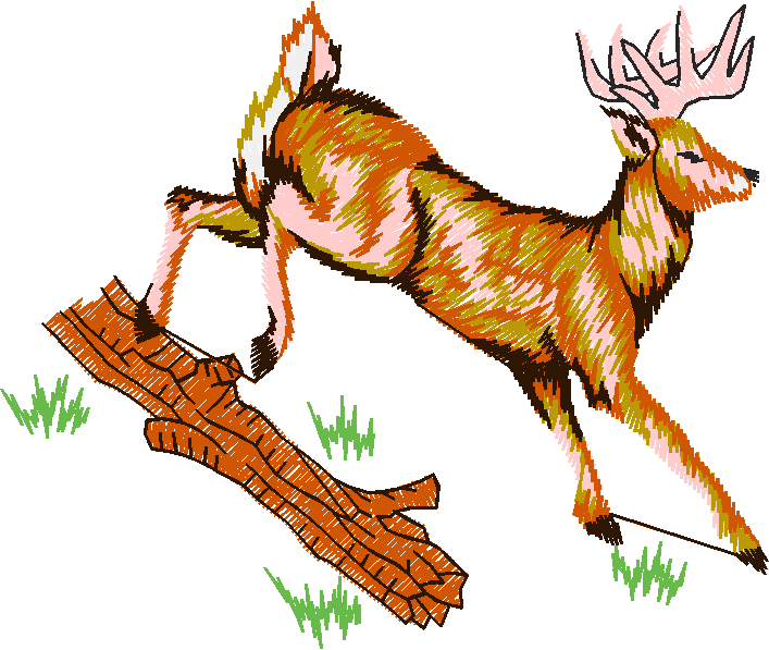 Animals 24 - Wildlife 04 (15)