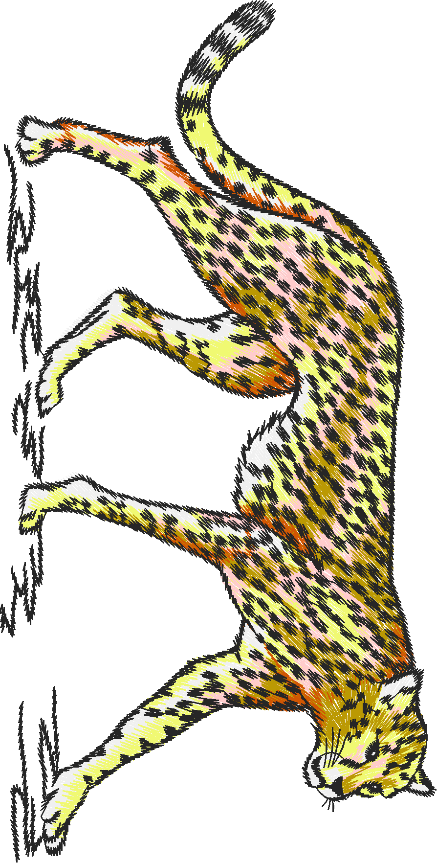 Animals 24 - Wildlife 04 (29)