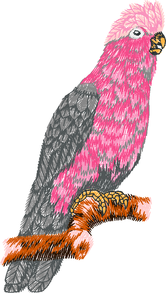 Animals 25 - Wildlife 05  (11)