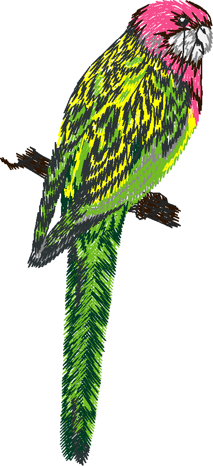 Animals 25 - Wildlife 05  (12)