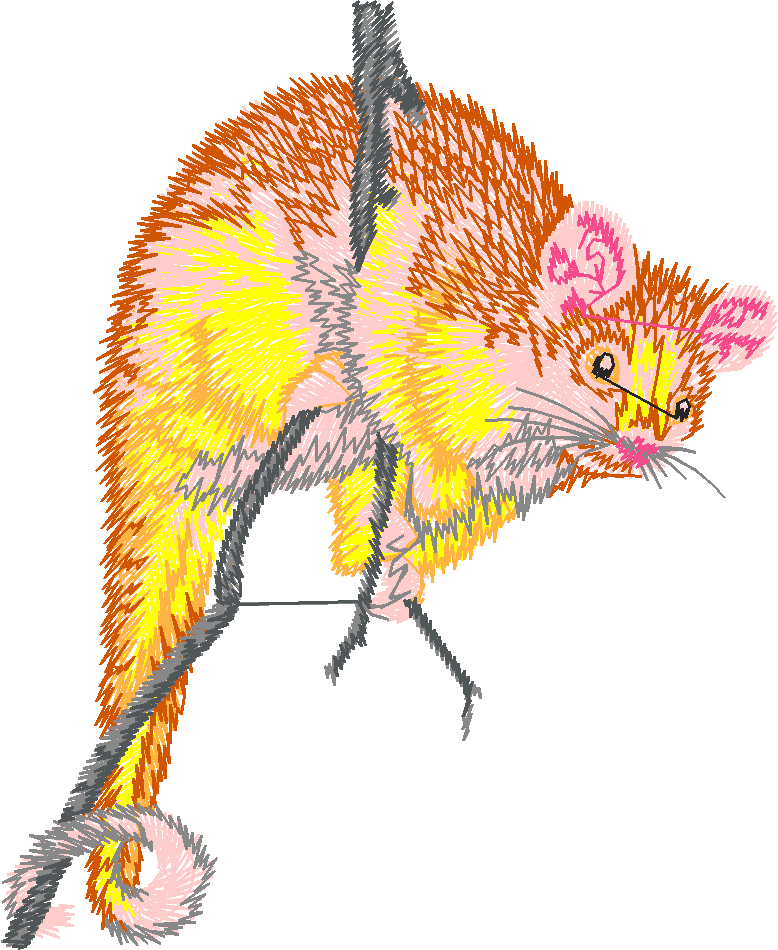 Animals 25 - Wildlife 05  (13)