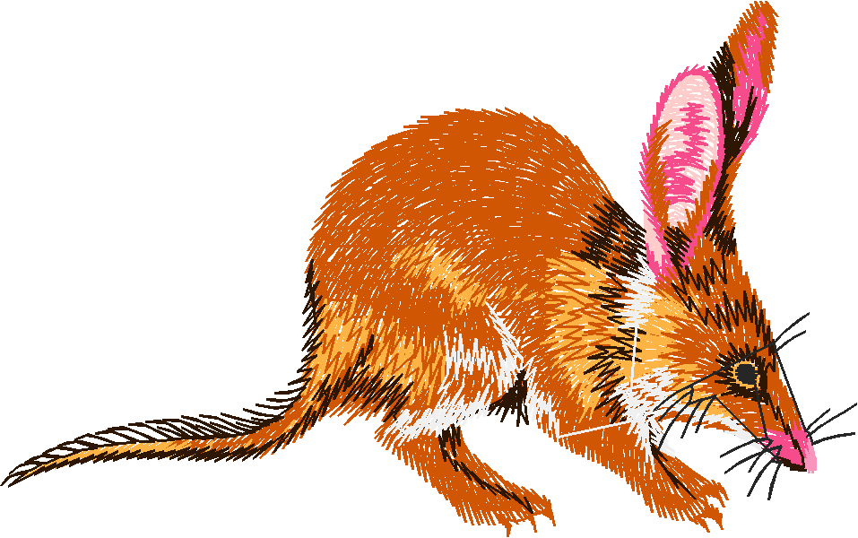 Animals 25 - Wildlife 05  (14)