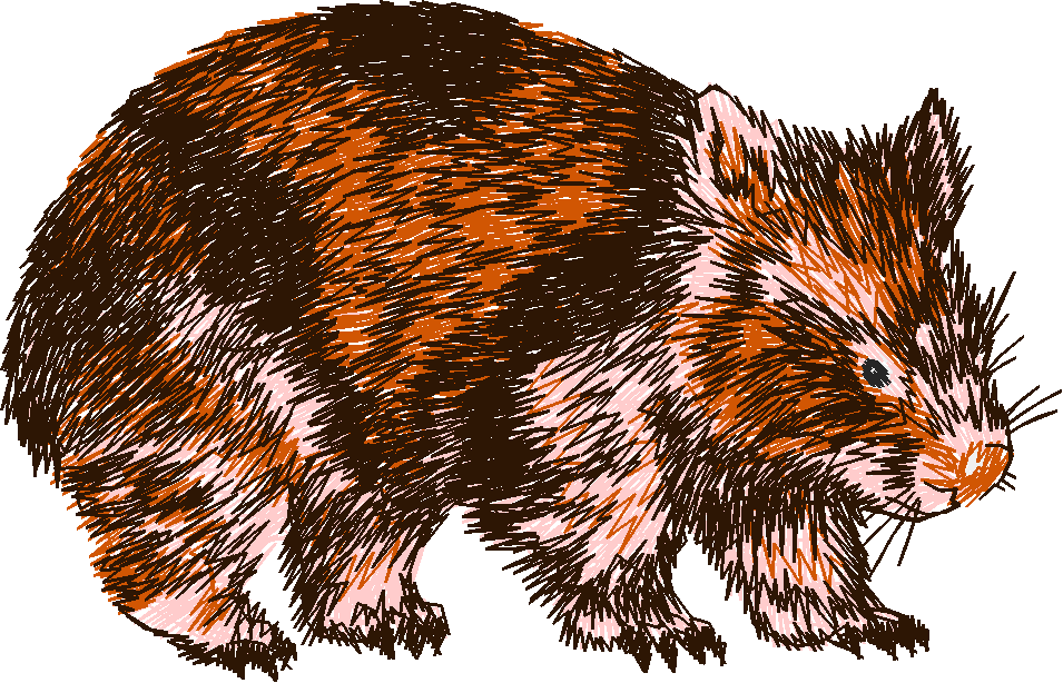 Animals 25 - Wildlife 05  (3)