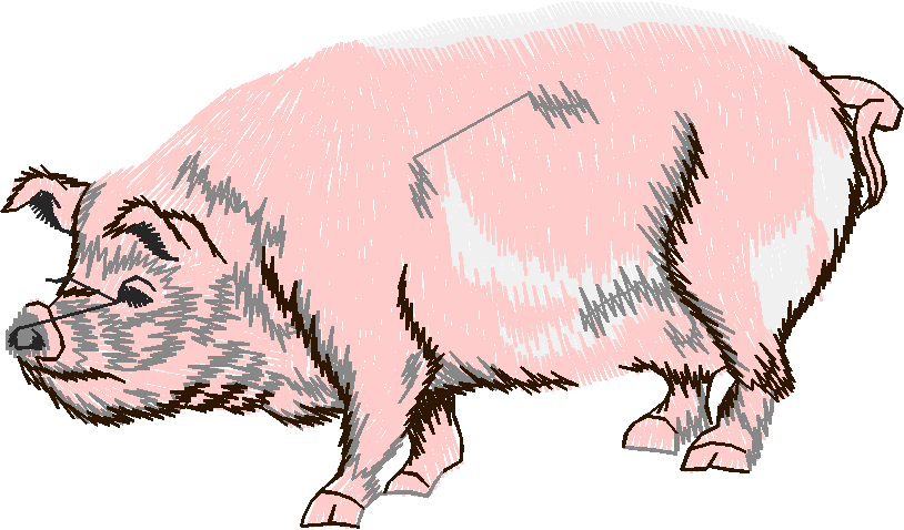 Animals 26 - Wildlife 06  (10)