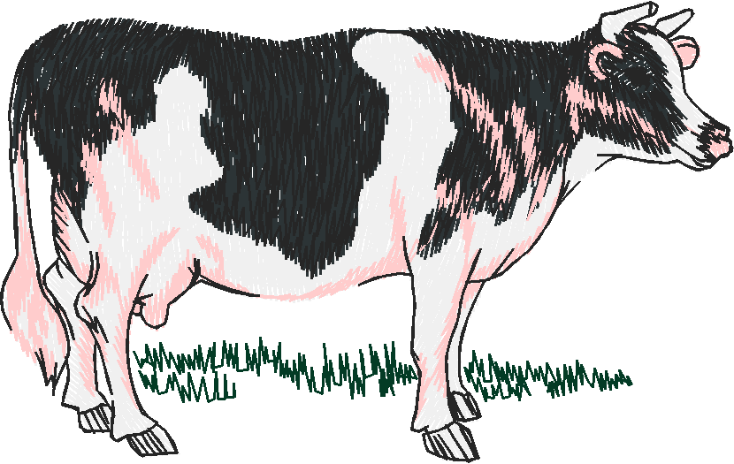 Animals 26 - Wildlife 06  (11)