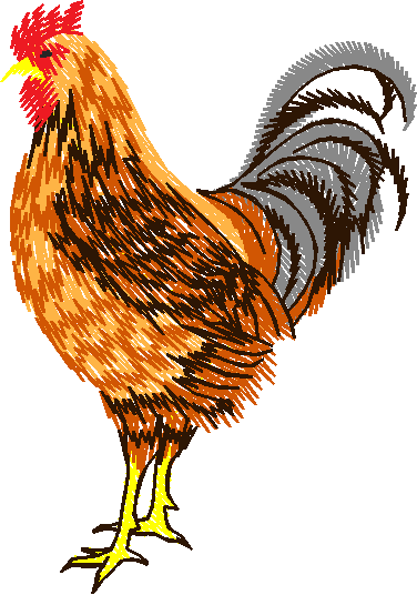 Animals 26 - Wildlife 06  (12)