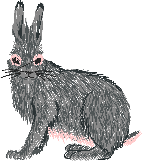 Animals 26 - Wildlife 06  (9)