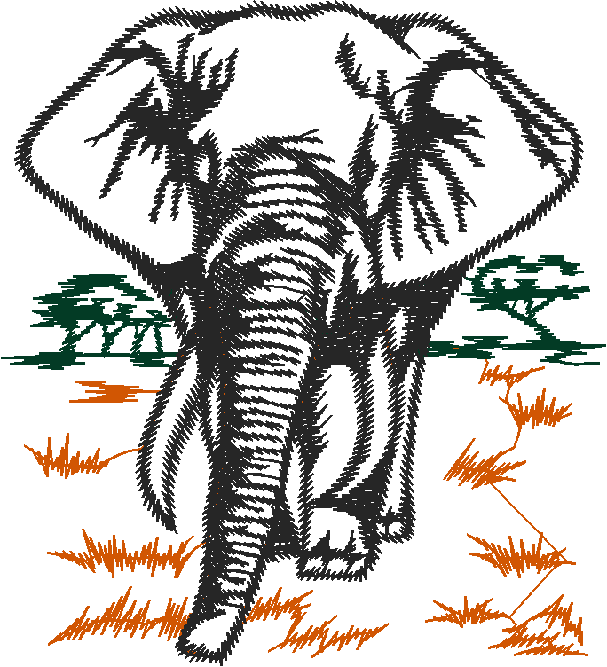 Animals 27 - Wildlife 07  (13)