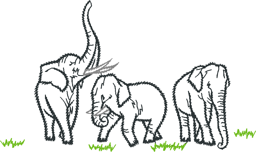 Animals 27 - Wildlife 07  (15)