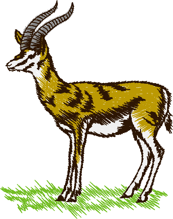 Animals 27 - Wildlife 07  (19)