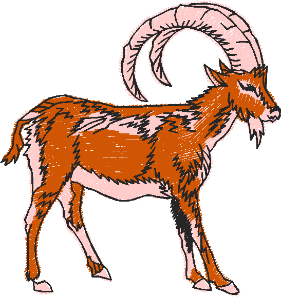 Animals 27 - Wildlife 07  (20)