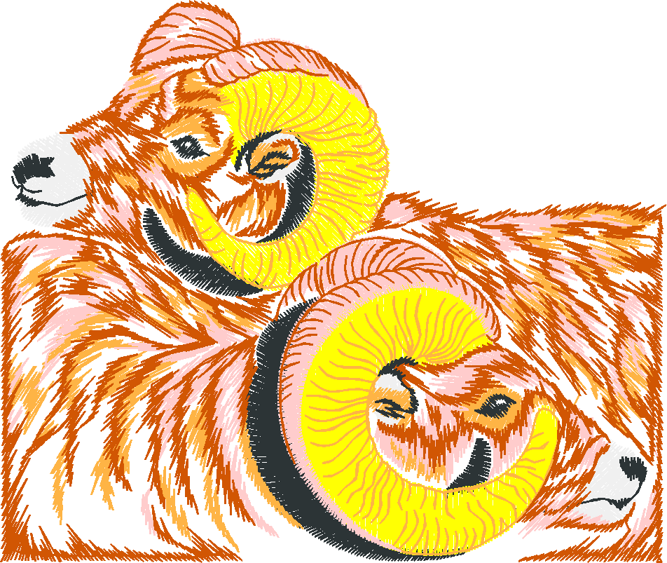 Animals 27 - Wildlife 07  (21)