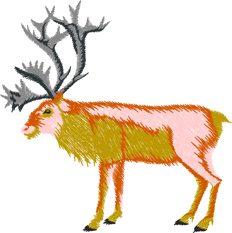 Animals 27 - Wildlife 07  (22)