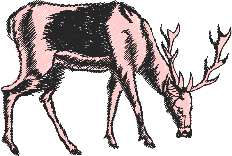 Animals 27 - Wildlife 07  (23)