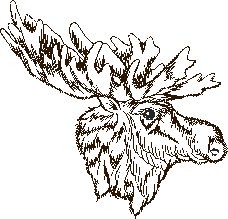 Animals 27 - Wildlife 07  (25)