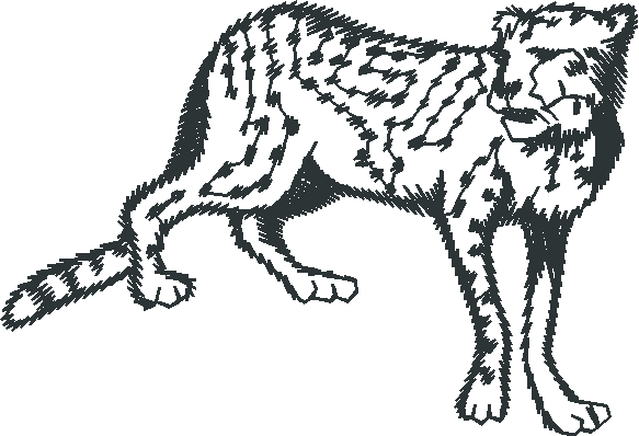 Animals 27 - Wildlife 07  (6)