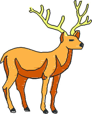 Animals 28 - Wildlife 08  (8)