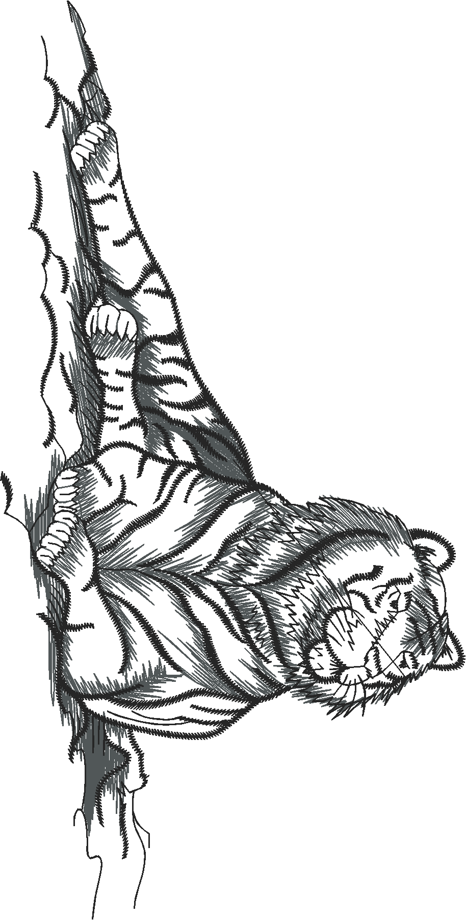 Animals 29 - Wildlife 09  (12)