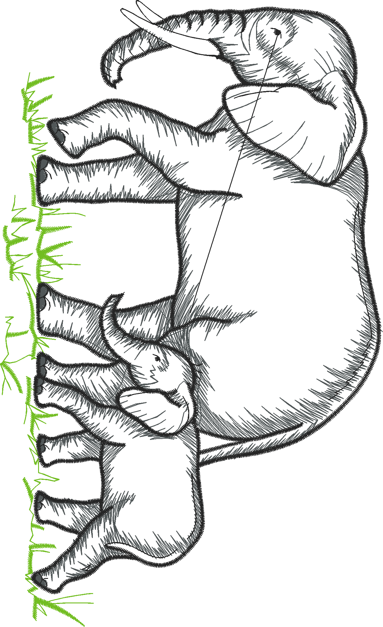 Animals 29 - Wildlife 09  (13)