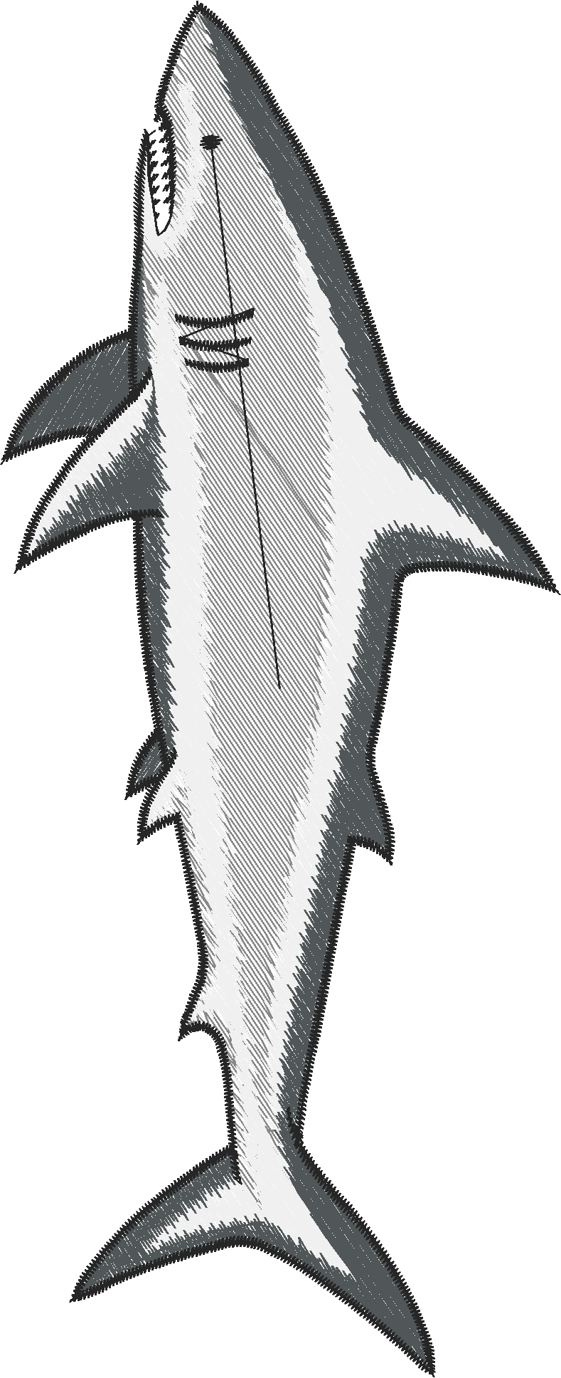 Animals 29 - Wildlife 09  (15)