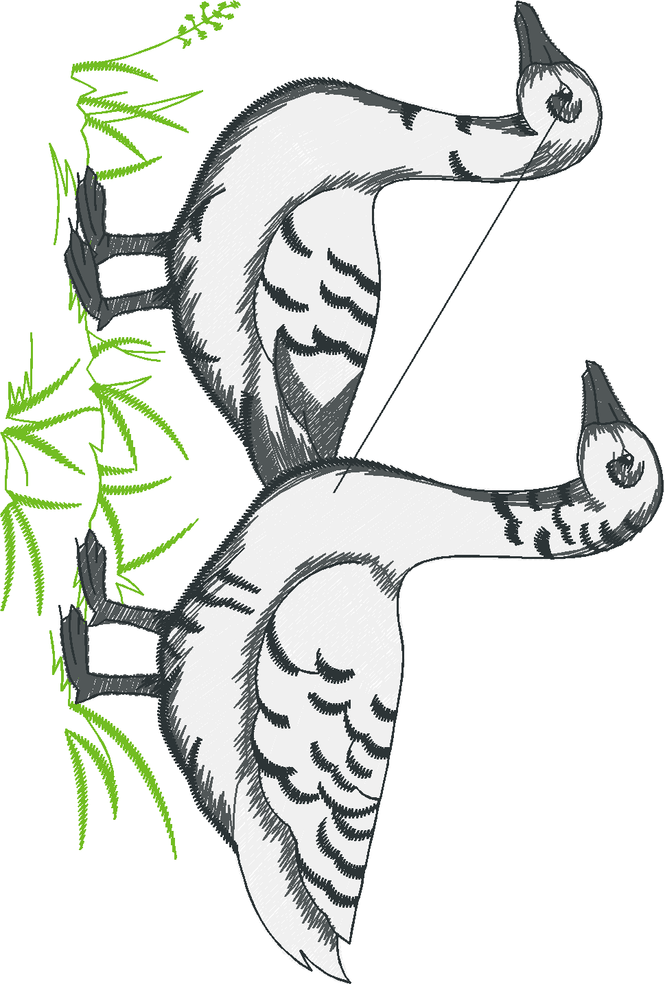 Animals 29 - Wildlife 09  (6)