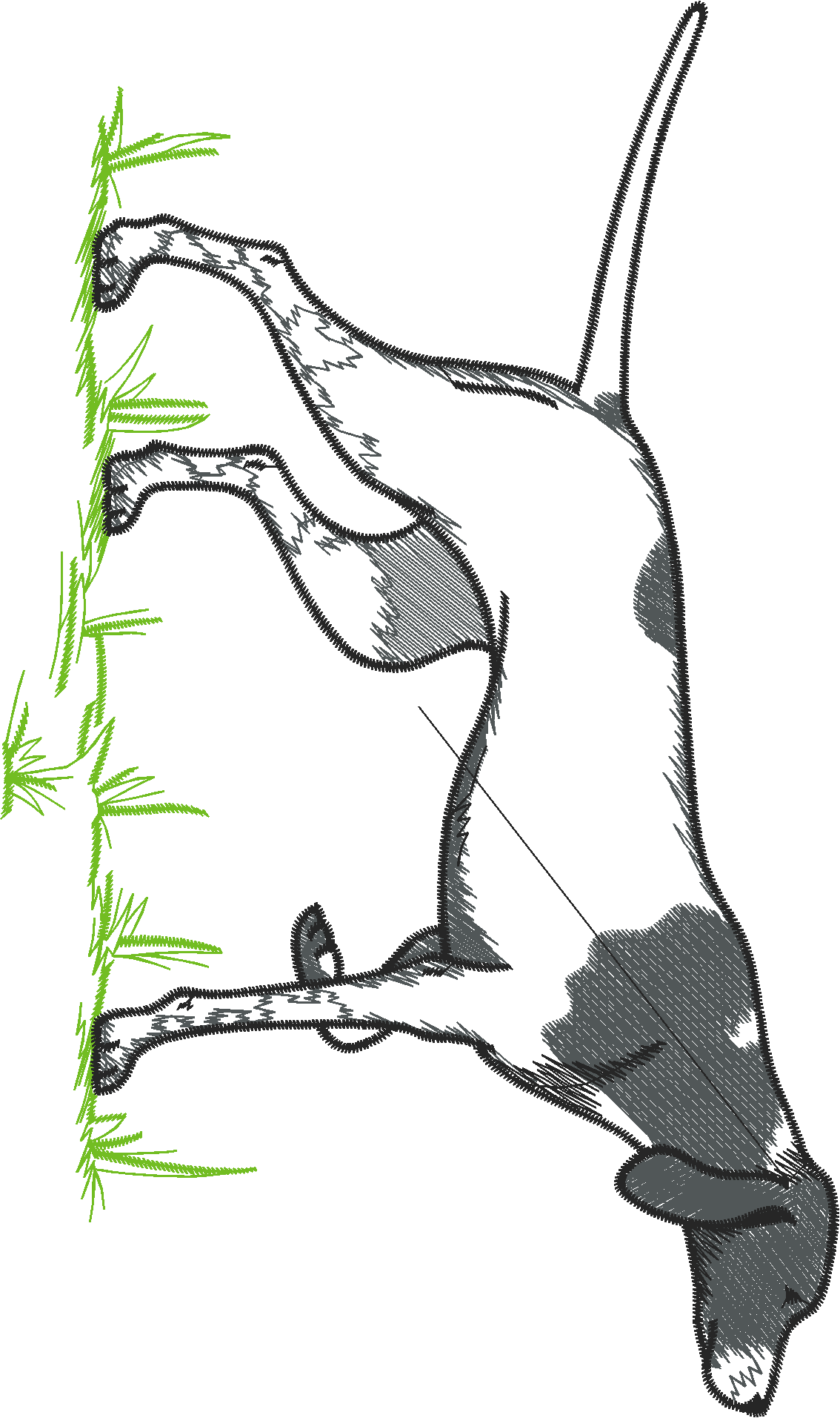 Animals 29 - Wildlife 09  (7)