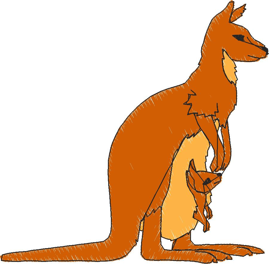 Animals 30 - Wildlife 10 (10)