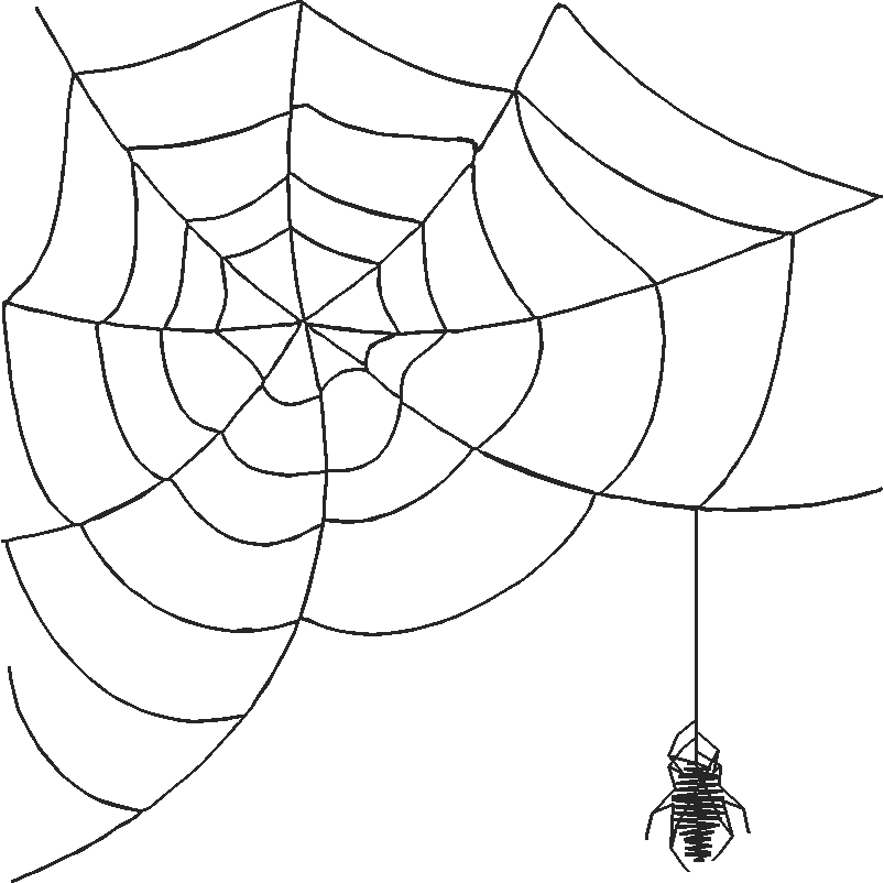 Animals 30 - Wildlife 10 (11)