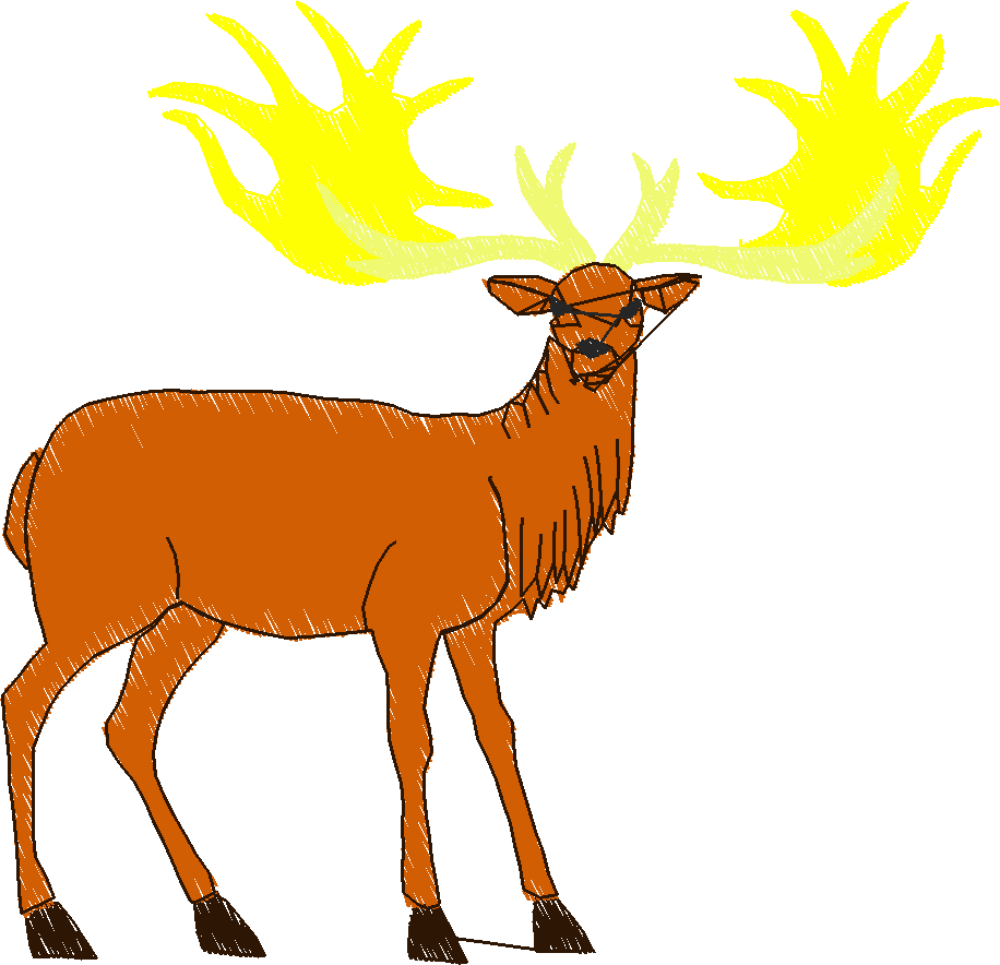 Animals 30 - Wildlife 10 (12)