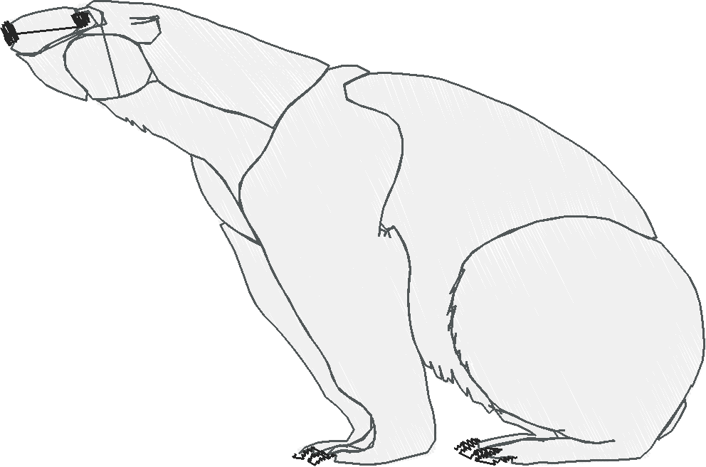 Animals 30 - Wildlife 10 (14)