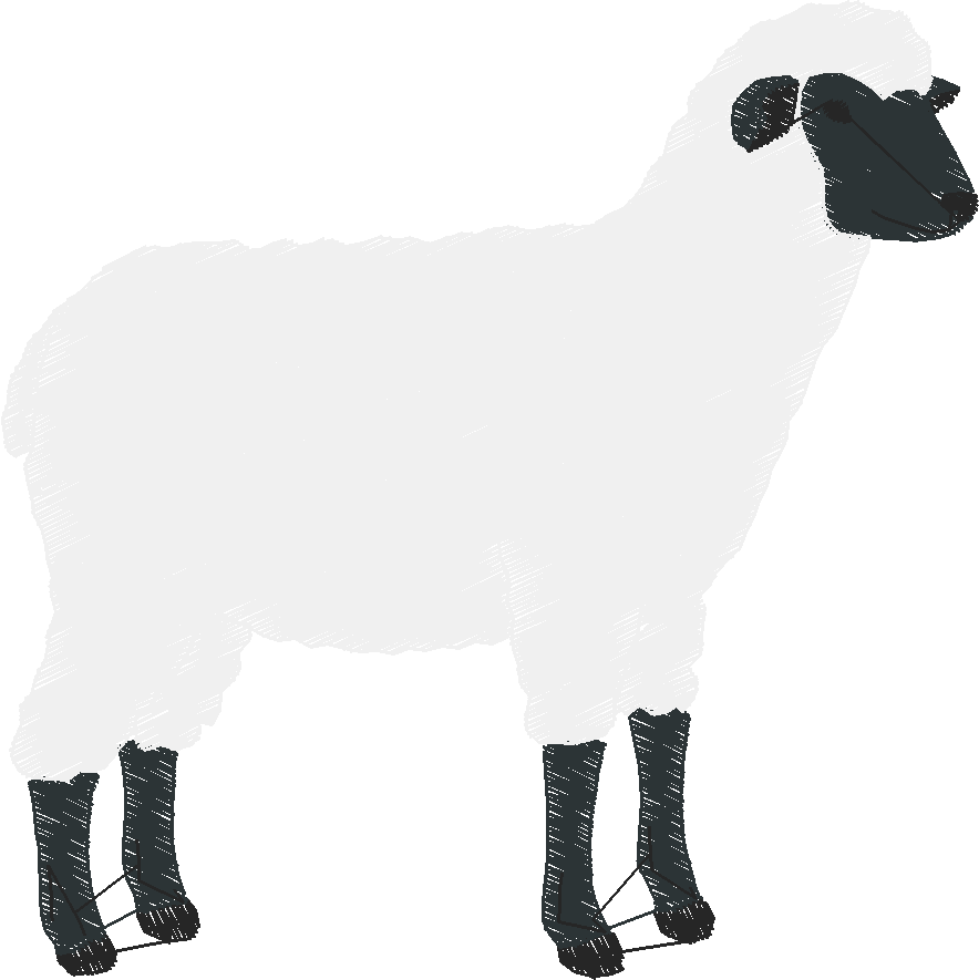 Animals 30 - Wildlife 10 (19)