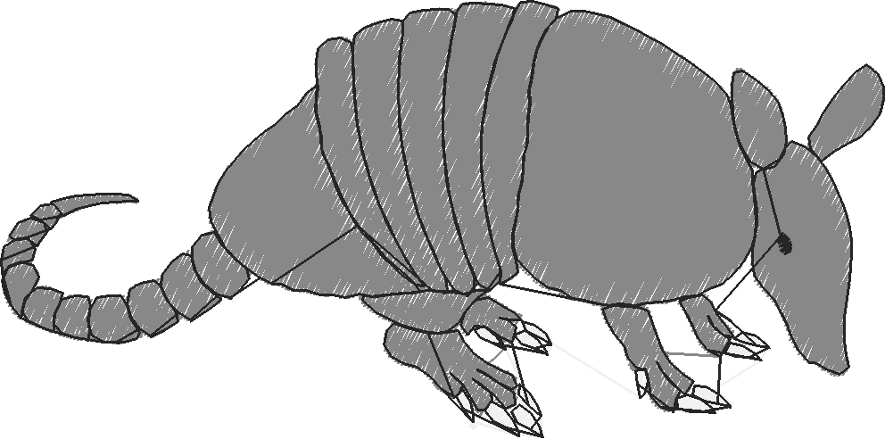 Animals 30 - Wildlife 10 (2)