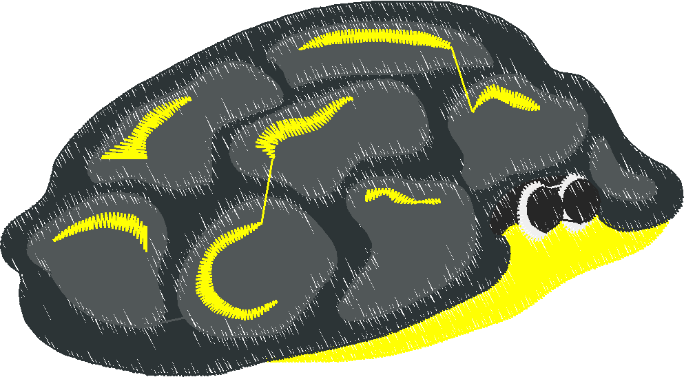 Animals 30 - Wildlife 10 (20)