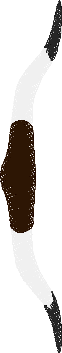 Animals 30 - Wildlife 10 (22)