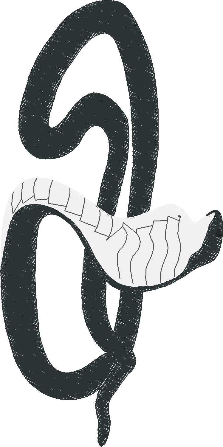 Animals 30 - Wildlife 10 (23)