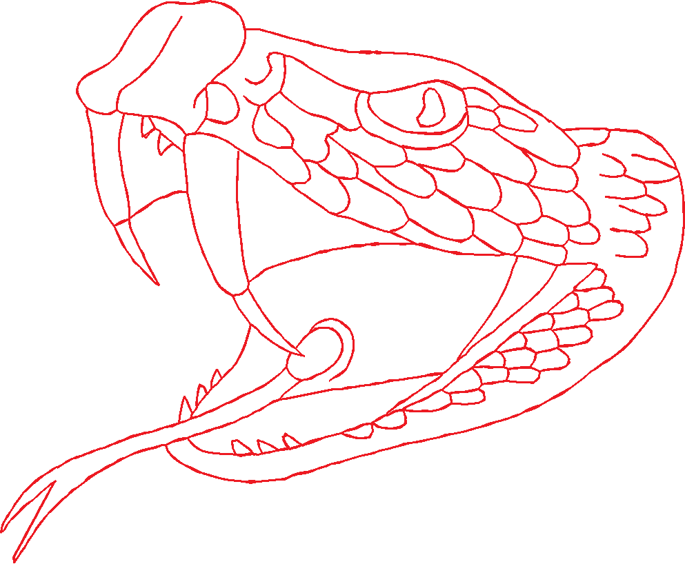 Animals 30 - Wildlife 10 (24)