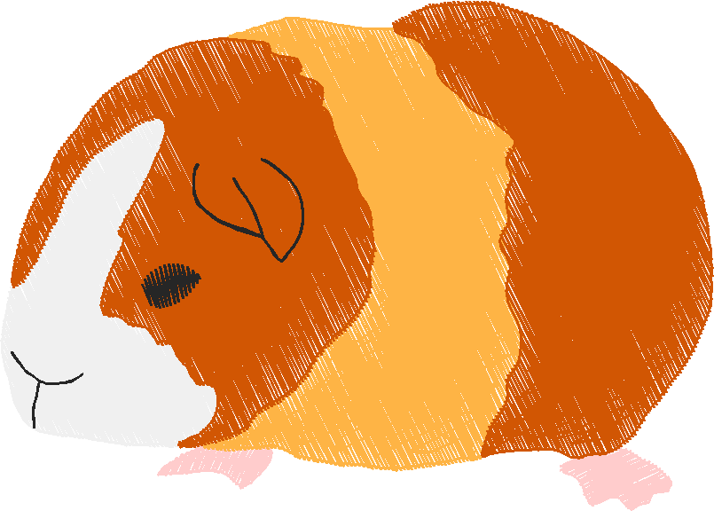 Animals 30 - Wildlife 10 (26)